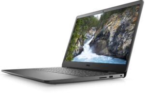 Dell Vostro 3501